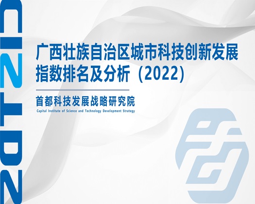 就想看美女操大逼的【成果发布】广西壮族自治区城市科技创新发展指数排名及分析（2022）